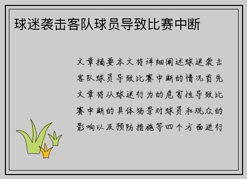球迷袭击客队球员导致比赛中断 球迷袭击客队球员导致比赛中断